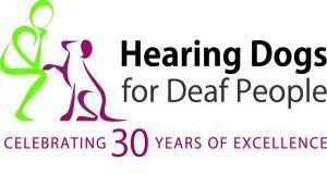 聋人专用助听犬